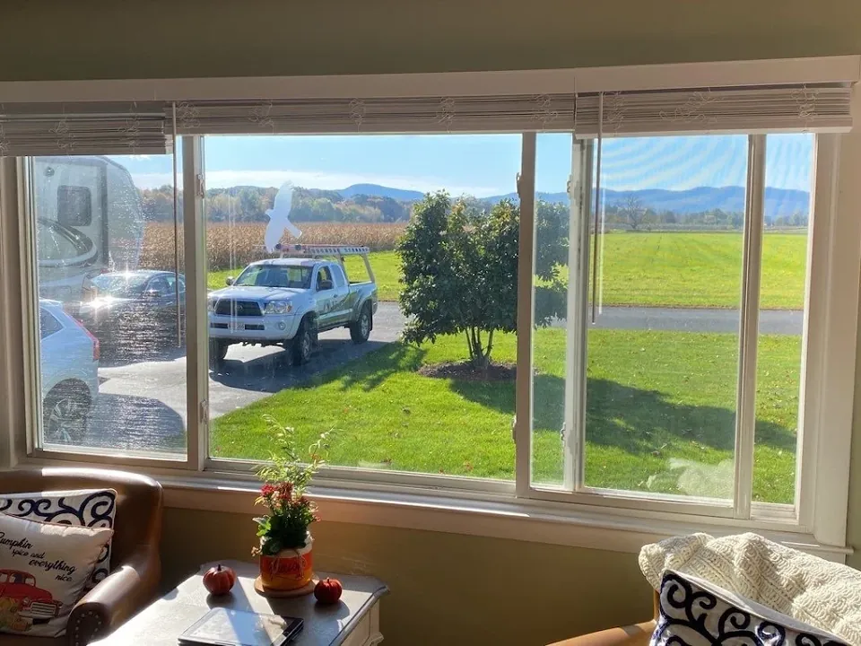 Large picture window overlooking a yard, installed by Vista Home Improvement